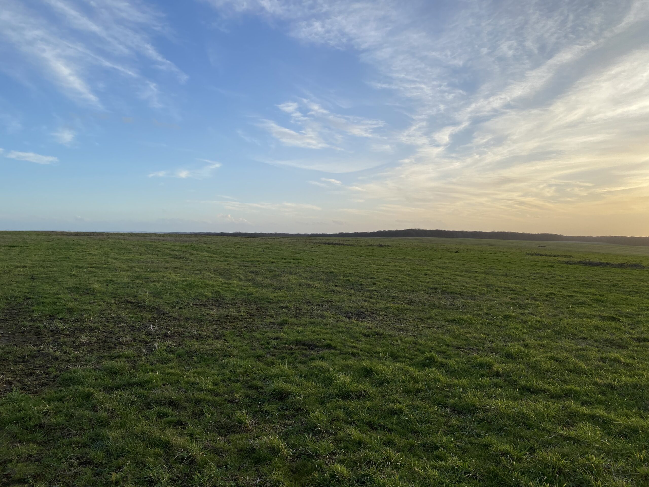 parc agrivoltaïque de Migny